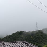 波邇耶須比売神の言葉　　　　Wさんとあれこれ喋ってました