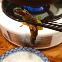 うちの破戒爺も闊歩していたであろう両国広小路