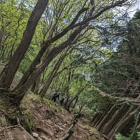 岡山最高峰　後山1344ｍ　2024.5.18　「12」