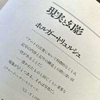 Veruschka　ヴェルーシュカ
