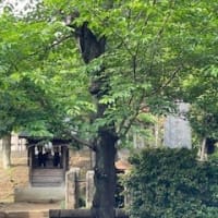 代田八幡神社　　世田谷区代田