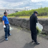 除草作業（本社）