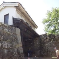 和歌山城と絵手紙展