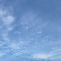 『久我山歳時記』（67）〜小暑となり、暑中お見舞い