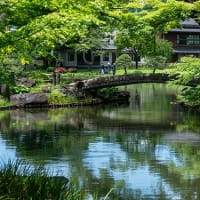 川のほとりの庭園。