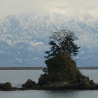 1月を振り返って