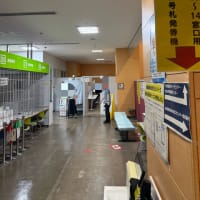船橋市長選挙の日