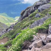 大雪山赤岳〜黒岳縦走2025/7/10その1