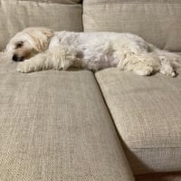 今日の出来事