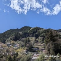 奥多摩散策