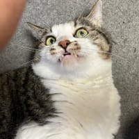 ちょい寒いかも。🙄