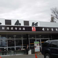春のお墓参り