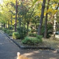 クリンへの想いは尽きなくて・・・250
