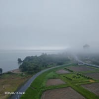 水無月15日（日）早朝雲が地上に漂っている。こんな現象年に1or2回・・・