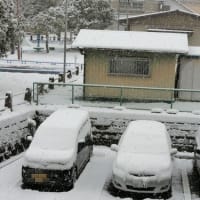 人生初の、４日連続だあ！
