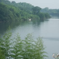 とよがわの朝　景色