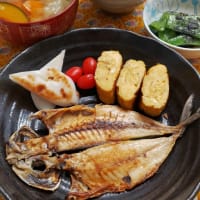 【小田原土産アジの干物】