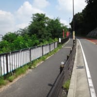 ジャイアンツ坂