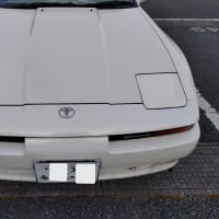 愛車、ドックイン！