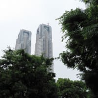 西新宿野村ビルの高層階にある「響」で散歩会の昼食の集まりがあった。