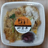 6月29日開催の定例運転会に関する情報 