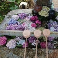 藤田神社の花手水～2025年7月5日