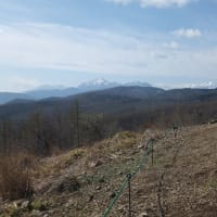 入笠山・黒座岩