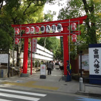 富岡八幡宮、酉の市