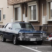 １９６７　チャージャー 427432.jpg