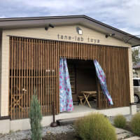 tane-lab toya