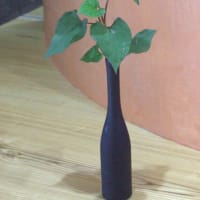 蕺（ドクダミ）