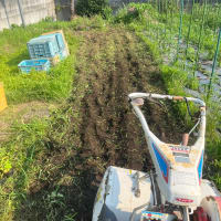 なすの除草など
