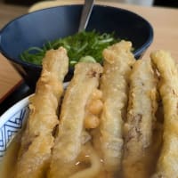 「てんてんのごぼう天うどん」