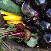 夏の収穫《白州 WILD VEGE FARM》2