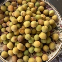庭の掃除
