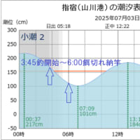 鯵釣り