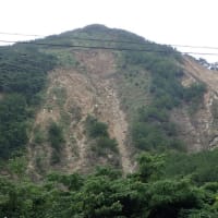 ５月２４日～２５日、奄美大島で「辺野古土砂全協」の総会と現地視察。「奄美からの土砂調達を止めれば、『辺野古』は頓挫する。そして、奄美の自然・生活環境も守られる！」