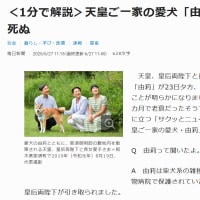 6月23日（月）～29日（日）今上ご一家ご動静・由莉号永眠