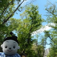 見上げたら