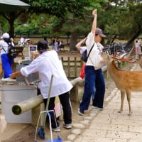 奈良公園　　