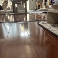 今日の暴走