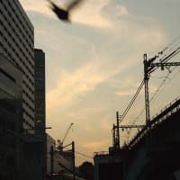 何気ない東京の夕景