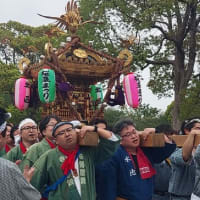 浮間さくら草祭り2025～神輿パレード