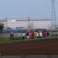 今朝