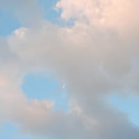 6/16 今朝４時半ごろの空