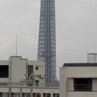 2025/6/20の朝の東京スカイツリー