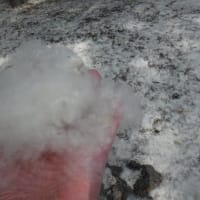 近代美術館の庭は雪景色！？