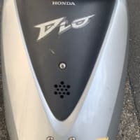 ディオ&ディオチェスタ　その50