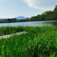 お気に入りのお散歩コース