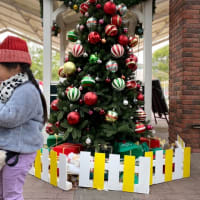 子どものクリスマスは